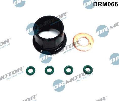 DR.MOTOR AUTOMOTIVE DRM066: Комплект гарнитури, впръскваща дюза