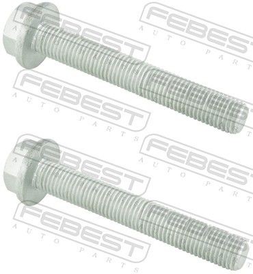 FEBEST 2098-001-PCS2: Kinnituspoldid, õõtshoob