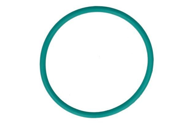 ENGITECH ENT600001: Lambdasonde