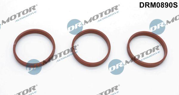 DR.MOTOR AUTOMOTIVE DRM0890S: Kit guarnizioni, Collettore aspirazione