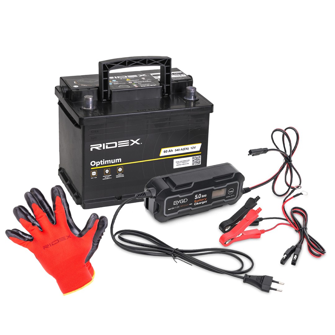 RIDEX 1S0293: Batterie