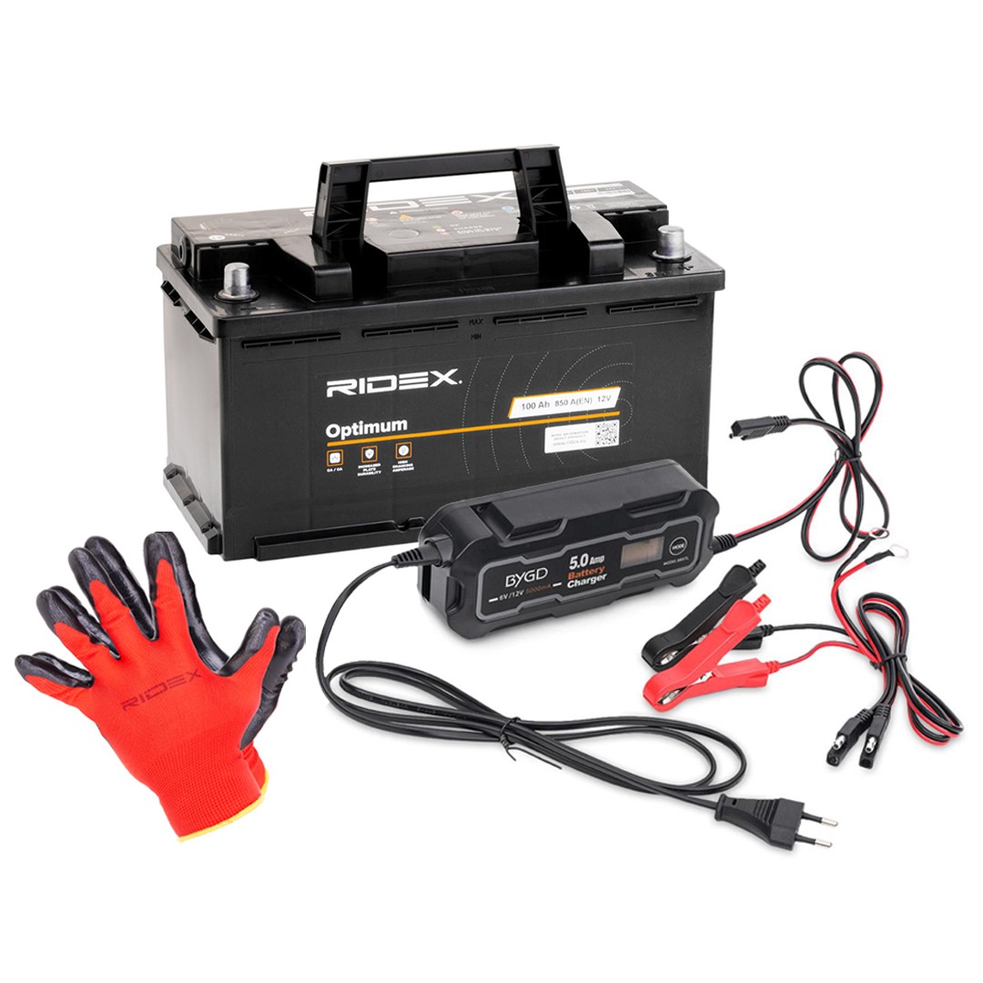 RIDEX 1S0295: Batteria