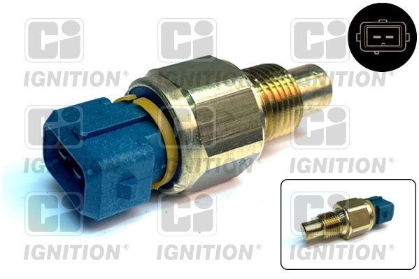 QUINTON HAZELL XTTS34: Andur, Jahutusvedeliku temp. CI M14x1,25