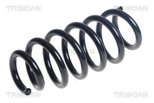 TRISCAN 8750 27137: Arc spiral punte fata