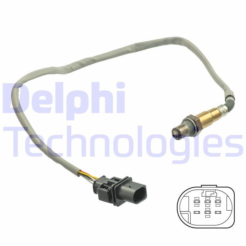 DELPHI GN10018-11B1: Πολλαπλασιαστής 12V