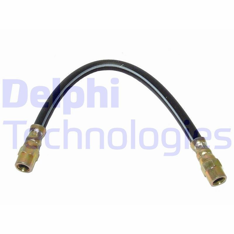 DELPHI LH0595: Спирачен маркуч 294mm