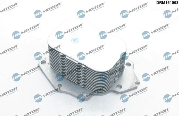 DR.MOTOR AUTOMOTIVE DRM161003 Ölkühler