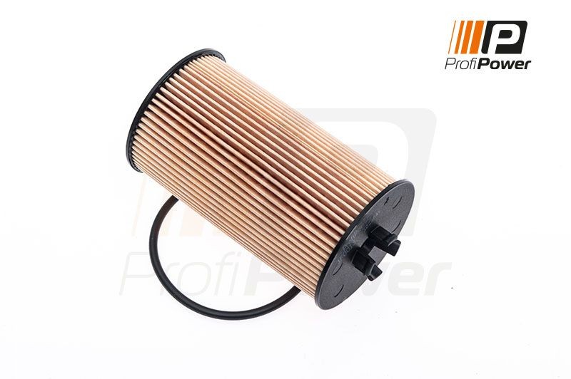 ProfiPower 1F0013: Alyvos filtras