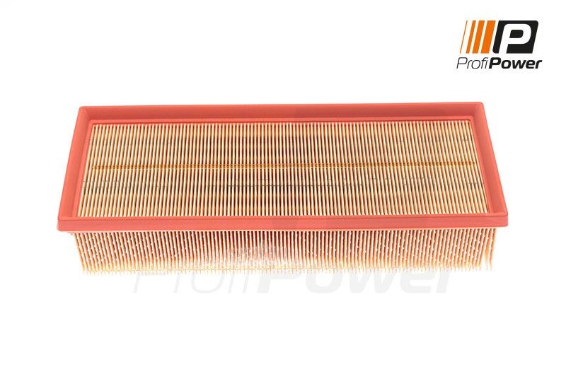 ProfiPower 2F0001: Filtro aria
