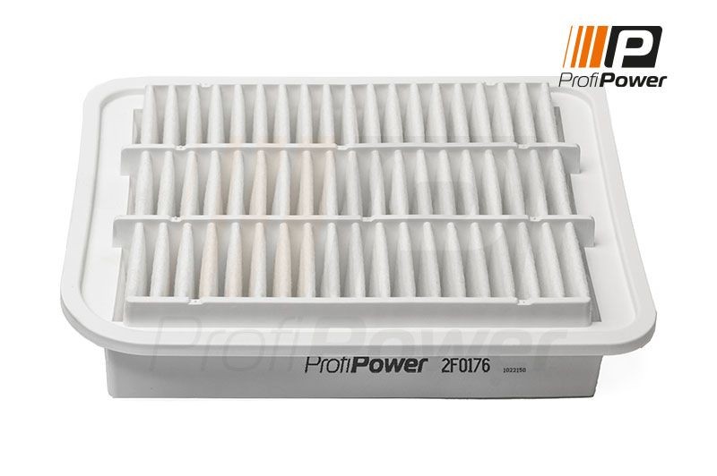 ProfiPower 2F0176: Filtro aria