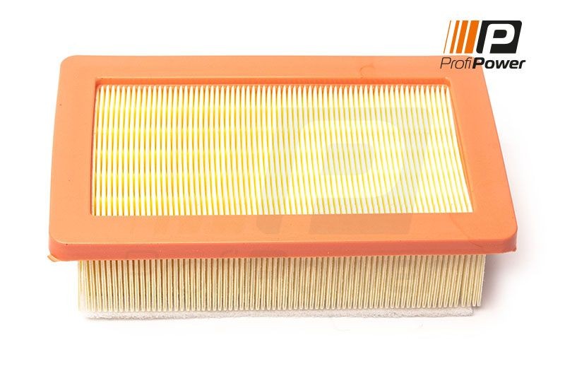 ProfiPower 2F0178: Gaisa filtrs