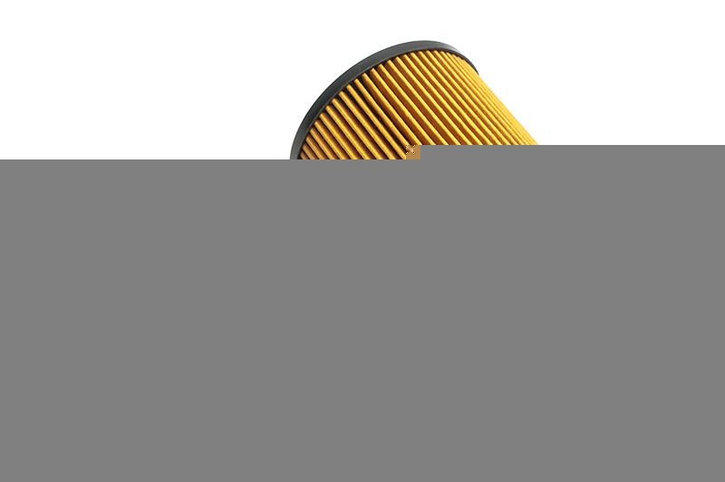 JPN 10f1018-jpn: Eļļas filtrs