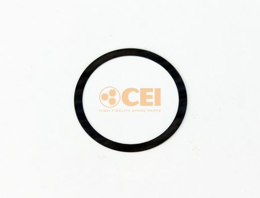 CEI 169.573: Atdurgredzens