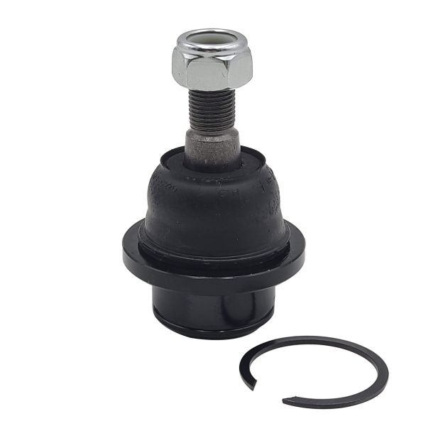 CTR CB0294: Rotule de suspension Essieu avant, inférieur