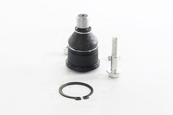 BSG BSG 55-310-001: Шарнири отдолу, от двете страни на предната ос, 18mm