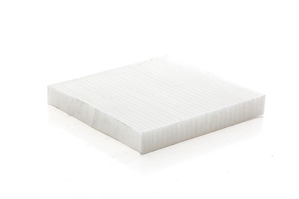 BSG BSG 60-145-036: Filtrs, Salona telpas gaiss Smalkās attīrīšanas salona filtrs