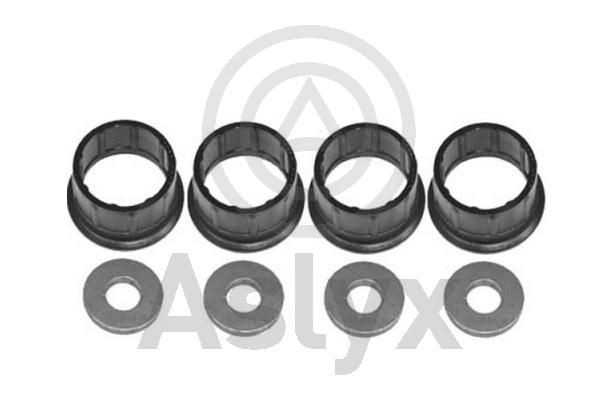 Aslyx AS-506295: Remondikomplekt, düüsikinnitus