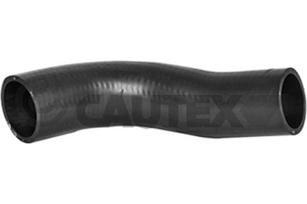 CAUTEX 771694: Kompressoriõhuvoolik