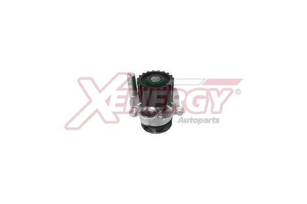AP XENERGY X208051: Pompa acqua con anello tenuta per pompa acqua