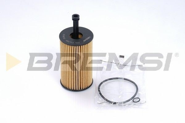 BREMSI FL0010: Olejový filtr