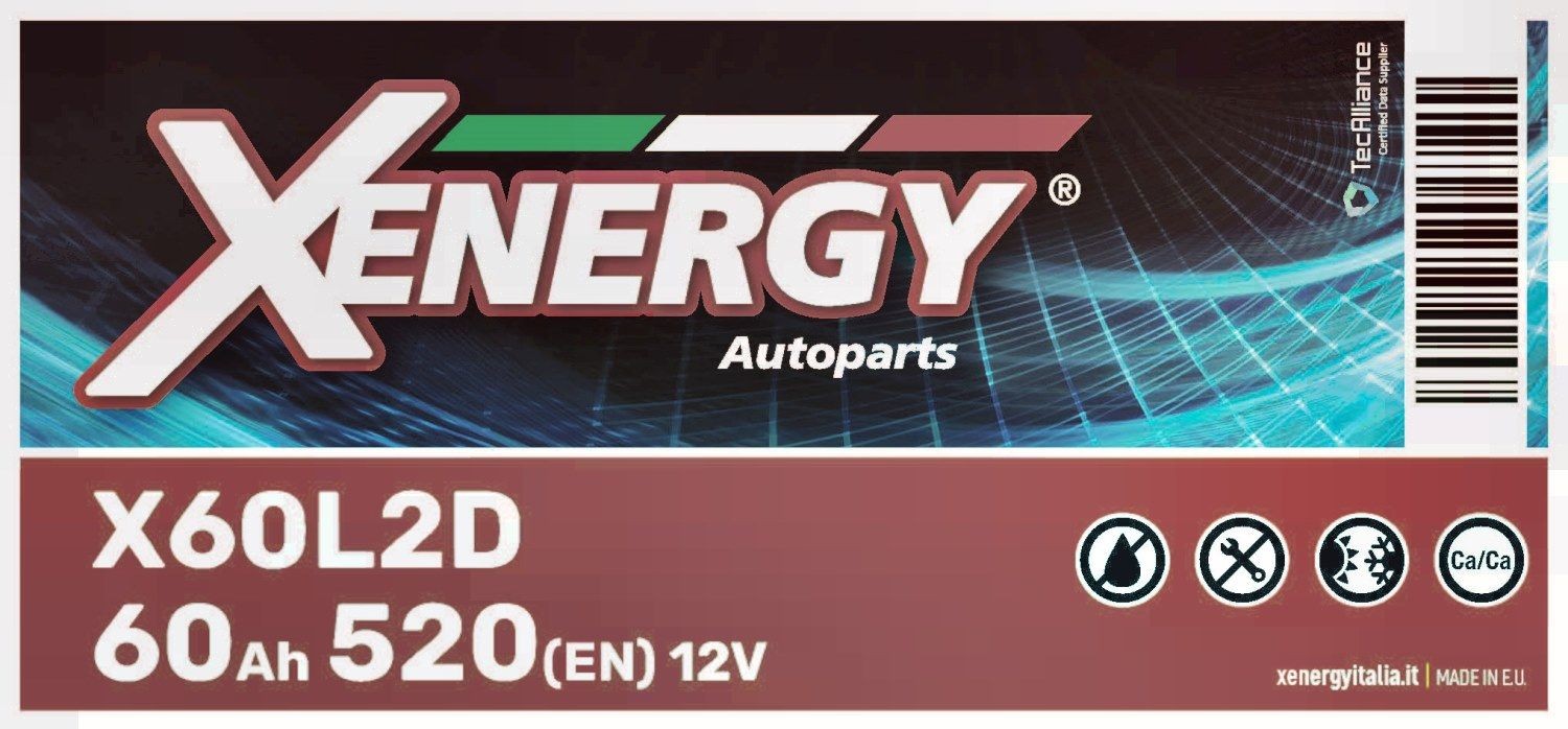 AP XENERGY X60L2D: Starterio akumuliatorius