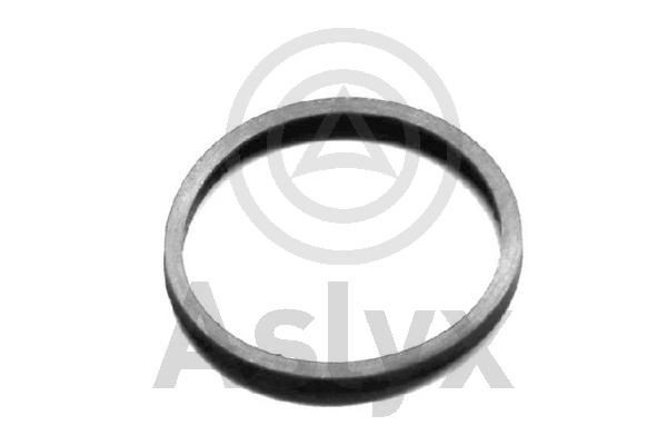 Aslyx AS-200771: Packning, termostat