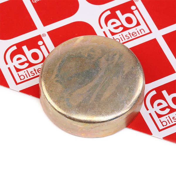 FEBI BILSTEIN 07295: Fagydugó febi Plus