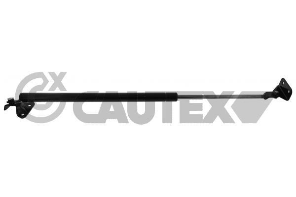 CAUTEX 773267: Газов амортисьор, багажно / товарно пространство ляво, 643mm