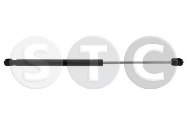 STC T446198: Gaasivedru, pagasi- / veoruum kahepoolne, 439mm