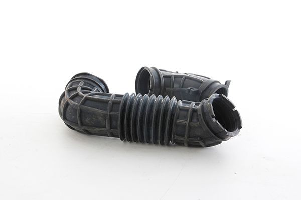 BSG BSG 30-720-324: Voolik,Õhuvarustus