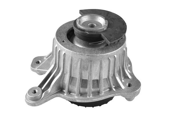 TEDGUM TED53873: Soporte de motor izquierda