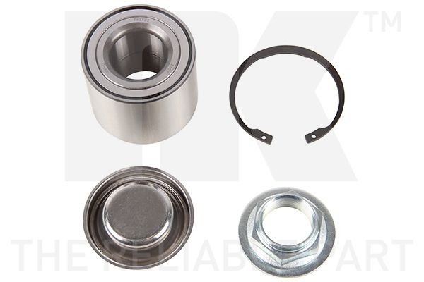 NK 763722: Rato guolio komplektas