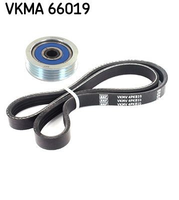 SKF VKMA 66019: V formos rumbuotas diržas, komplektas