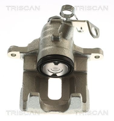 TRISCAN 8175 10210: Bremžu suports