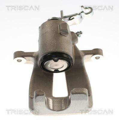 TRISCAN 8175 29206: Bremžu suports