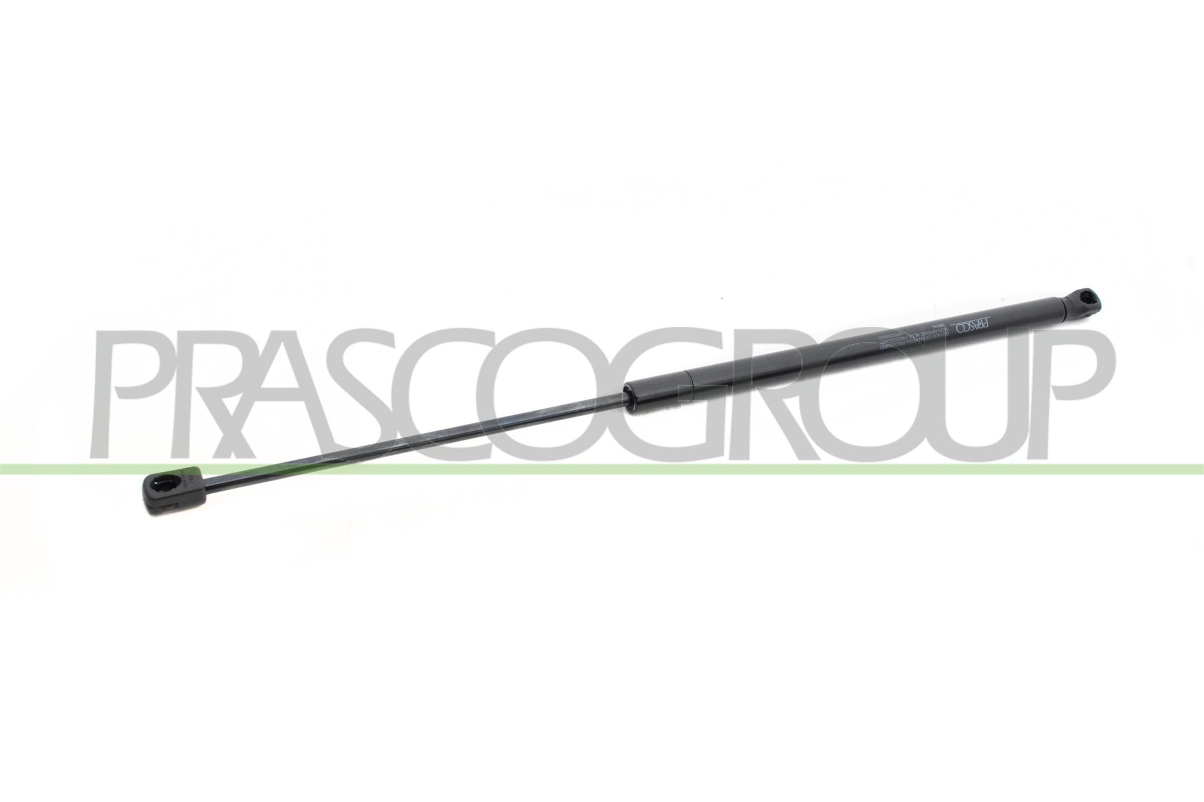 PRASCO FD4249055: Gaasivedru, pagasi- / veoruum taga vasakul, taga paremal, 484mm