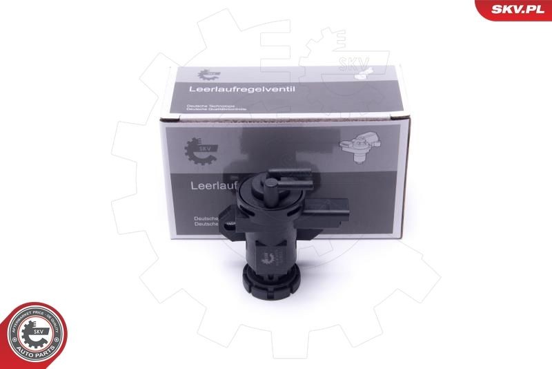ESEN SKV 14SKV916 Druckwandler, Turbolader