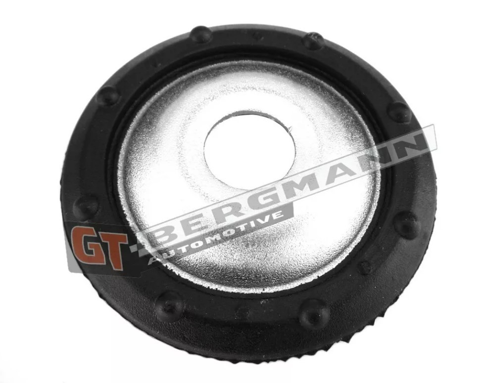 GT-BERGMANN GT25-040: Vedrutaldrik Esisild, üleval