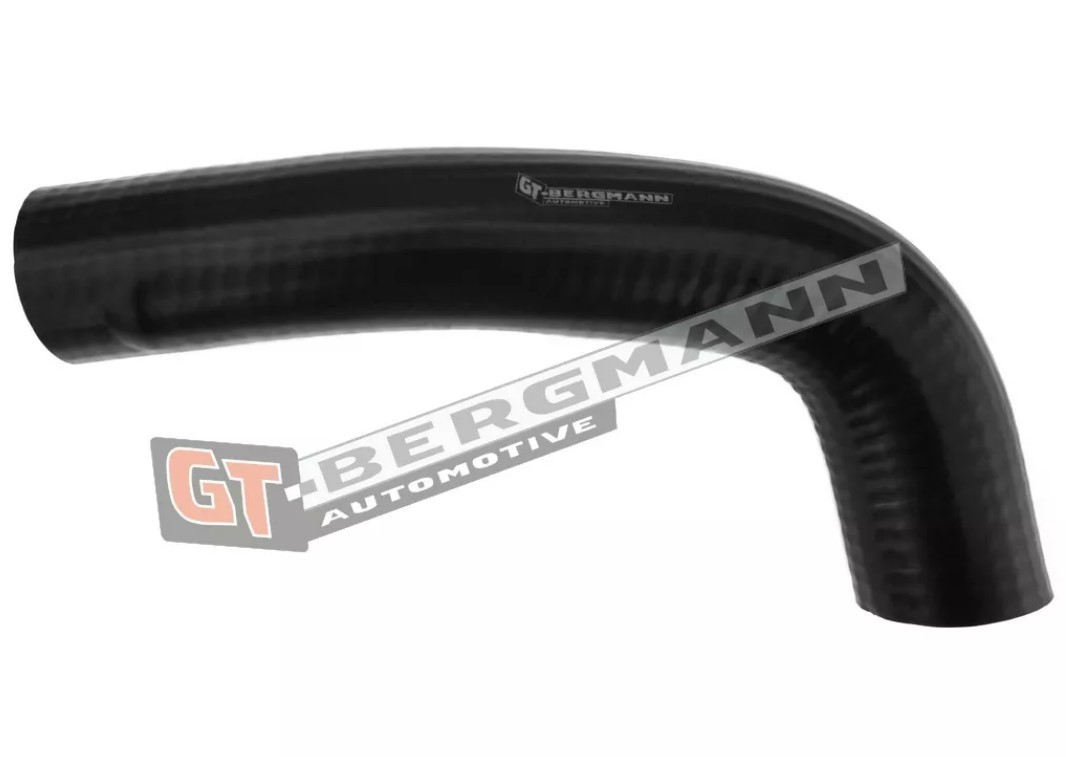 GT-BERGMANN GT52-291: Õhutoru,õhufilter Kompressoriõhu radiaator