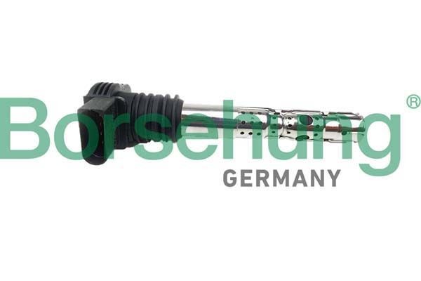 Borsehung B10691: Süütepool