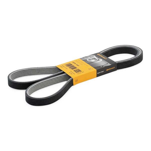 CONTITECH 6DPK1697: Пистов ремък 1697mm, брой на ребрата: 6