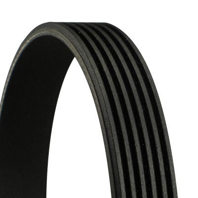 CONTITECH 6PK2498: Пистов ремък 2498mm, брой на ребрата: 6