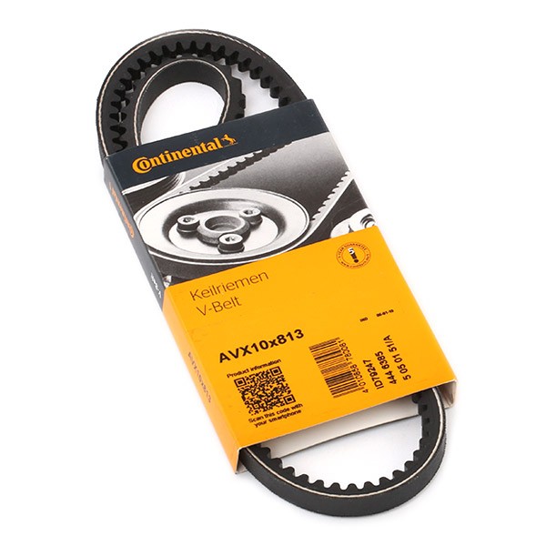 CONTITECH AVX10X813: Cinghia trapezoidale 813mm