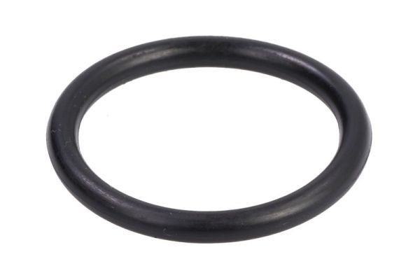 THERMOTEC DCC087TT: Dichtung, Ladeluftkühler