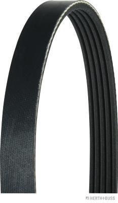 HERTH+BUSS JAKOPARTS J1051125: Curea transmisie cu caneluri 1125mm, Numar nervuri: 5