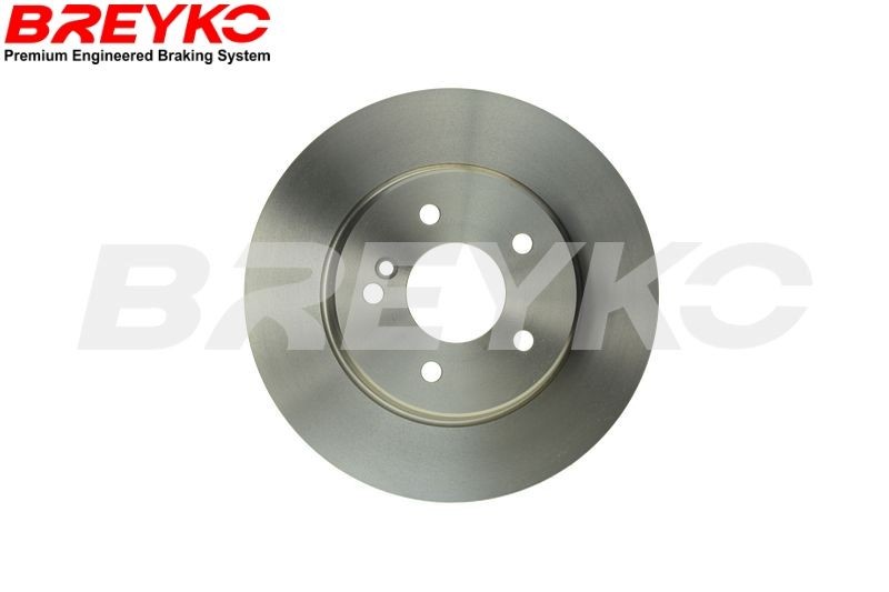 DAVID VASCO T2813 Bremsscheibe BREYKO Hinterachse, Ø: 290mm, voll, Ø: 290mm