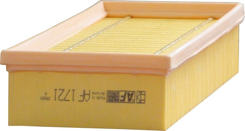 ALPHA FILTER AF1721: Gaisa filtrs