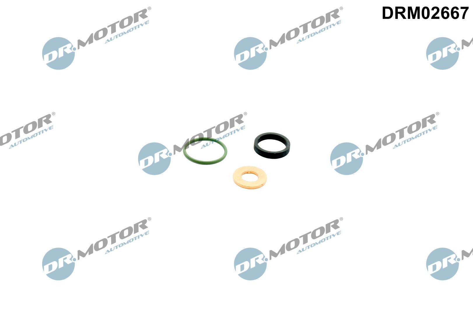 DR.MOTOR AUTOMOTIVE DRM02667: Комплект гарнитури, впръскваща дюза