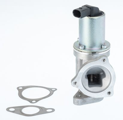 BorgWarner 711031D: Izpl. gāzu recirkulācijas vārsts ar blīvi