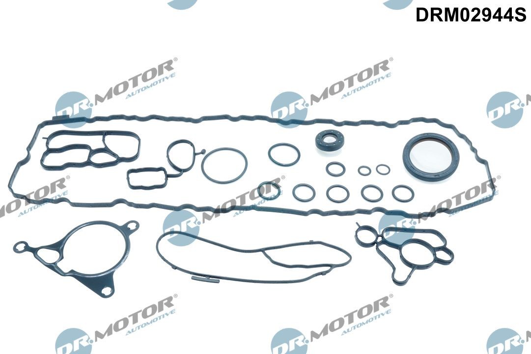 DR.MOTOR AUTOMOTIVE DRM02944S: Set garnituri, carter